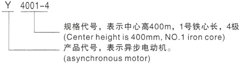 西安泰富西玛Y系列(H355-1000)高压Y5602-12/560KW三相异步电机型号说明